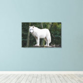 Wild White Wolf Canvas Afdruk (Insitu (Houten vloer))