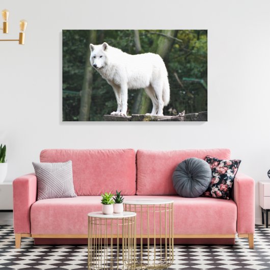 Wild White Wolf Canvas Afdruk (Insitu (Woonkamer))