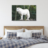 Wild White Wolf Canvas Afdruk (Insitu (Slaapkamer))