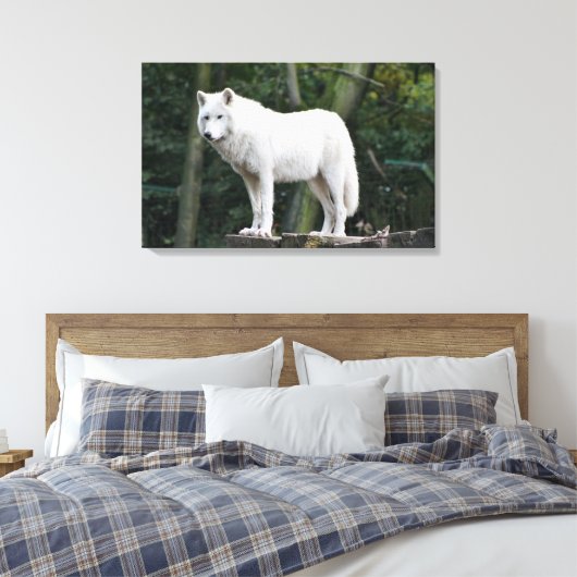 Wild White Wolf Canvas Afdruk (Insitu (Slaapkamer))