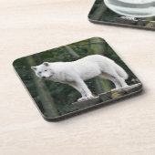 Wild White Wolf Onderzetter (Linkerzijde)