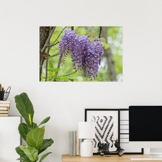 Wild Wisteria Trio in het Poster Bosbouw (Thuiskantoor)