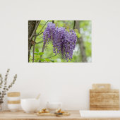 Wild Wisteria Trio in het Poster Bosbouw (Keuken)