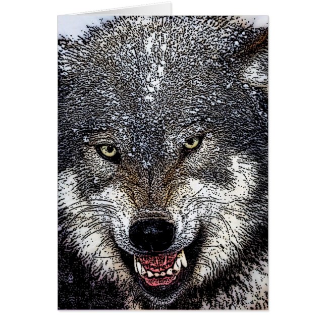 Wild Wolf (Voorkant)