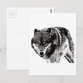 Wild Wolf Briefkaart (Voorkant / Achterkant)