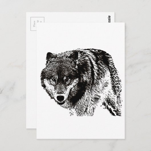 Wild Wolf Briefkaart (Voorkant / Achterkant)