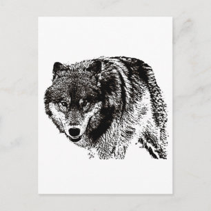 Wild Wolf Briefkaart