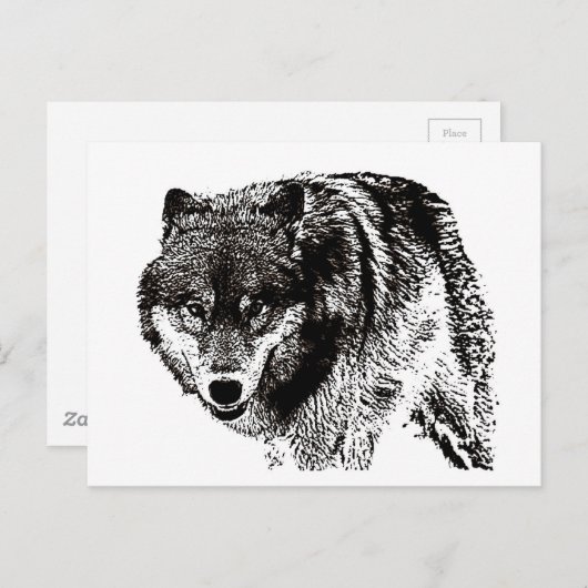 Wild Wolf Briefkaart (Voorkant / Achterkant)