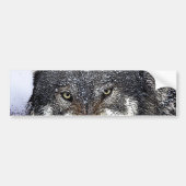 Wild Wolf Bumpersticker (Voorkant)