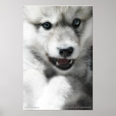 Wild Wolf Cub Poster (Voorkant)