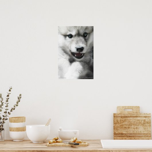 Wild Wolf Cub Poster (Keuken)