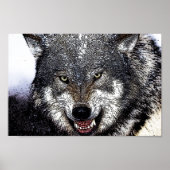 Wild Wolf Eyes Artwork Poster Print (Voorkant)