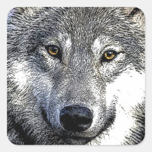 Wild Wolf Eyes Uniek Kunstwerk Vierkante Sticker