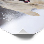 Wild Wolf Foto afdrukken (Hoek)