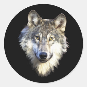 Wild Wolf Gezicht Stickers