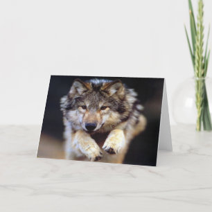 Wild Wolf Kaart