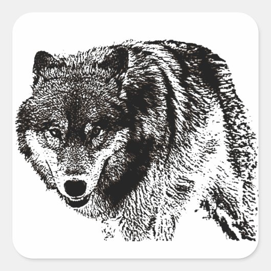 Wild Wolf Vierkante Sticker (Voorkant)