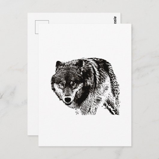 Wild Wolf Zwart & Wit kunstwerk Briefkaart (Voorkant / Achterkant)