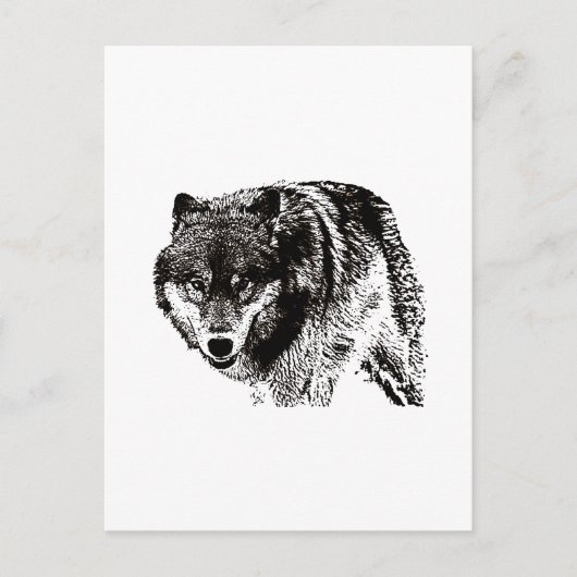 Wild Wolf Zwart & Wit kunstwerk Briefkaart (Voorkant)