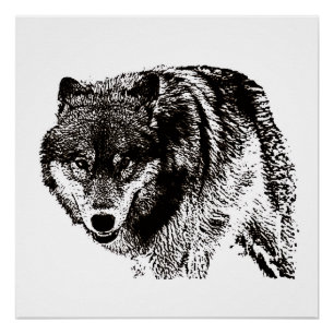 Wild Wolf Zwart & Wit kunstwerk Perfect Poster