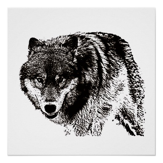 Wild Wolf Zwart & Wit kunstwerk Perfect Poster (Voorkant)
