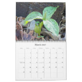 Wild Wonders 2012 Kalender (Mar 2027)