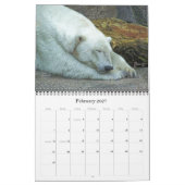 Wild Wonders 2012 Kalender (Feb 2027)
