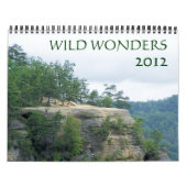 Wild Wonders 2012 Kalender (Hoes)