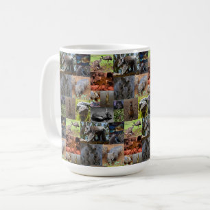 Wild Wonders: fascinerende Australische fotocollag Koffiemok