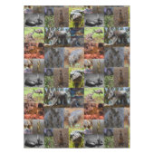 Wild Wonders: fascinerende Australische fotocollag Tafelkleed (Voorkant)