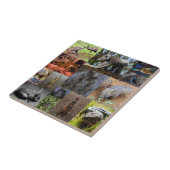 Wild Wonders: fascinerende Australische fotocollag Tegeltje (Zijkant)