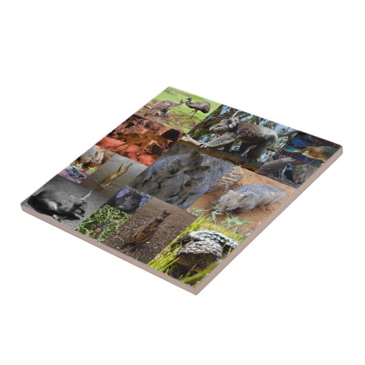 Wild Wonders: fascinerende Australische fotocollag Tegeltje (Zijkant)