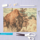 Wild Woodland Bison Tissuepapier (Craft)
