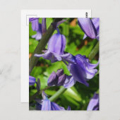Wild Woodlands Bluebell Flowers Briefkaart (Voorkant / Achterkant)