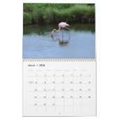 wild world of the Galapagos Kalender (Mar 2026)