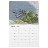 wild world of the Galapagos Kalender (Feb 2026)