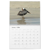wild world of the Galapagos Kalender (Jan 2026)