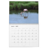 wild world of the Galapagos Kalender (Mar 2027)