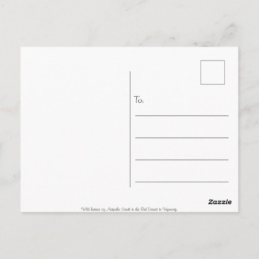 Wild Wyoming - Briefkaart (Achterkant)