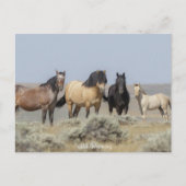 Wild Wyoming - Briefkaart (Voorkant)