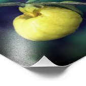 Wild Yellow Lady Slipper Orchidee Bloem 8x10 Foto Afdruk (Hoek)