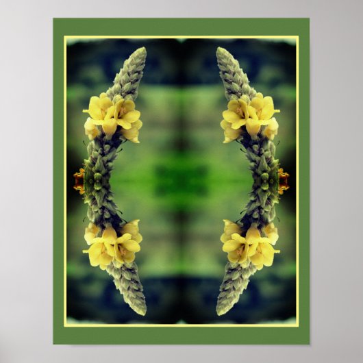 Wild Yellow Mullein Flower Abstract Poster (Voorkant)