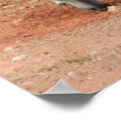 Wild Young Bucks Poster (Hoek)