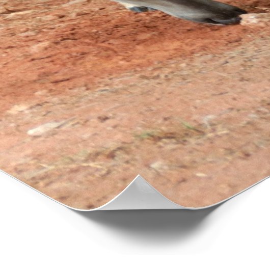 Wild Young Bucks Poster (Hoek)