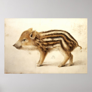 WILD ZWIJNTJE / Dierentekeningen Poster