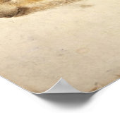 WILD ZWIJNTJE / Dierentekeningen Poster (Hoek)