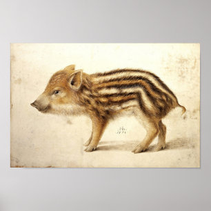 WILD ZWIJNTJE / Dierentekeningen Poster