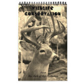 Wildbescherming Kalender (Hoes)