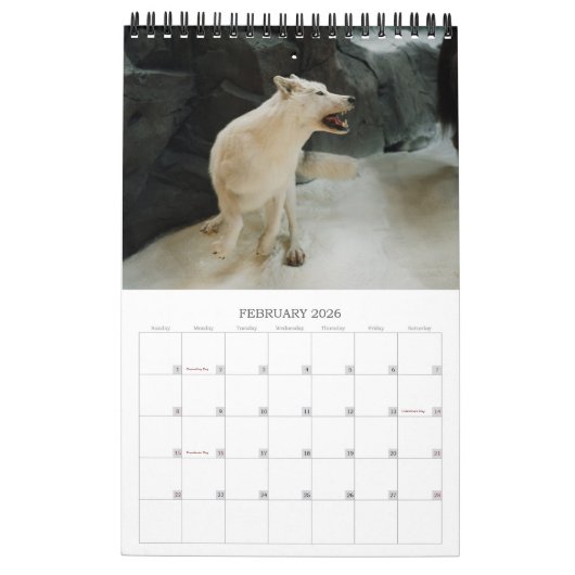 Wildbescherming Kalender (Feb 2026)