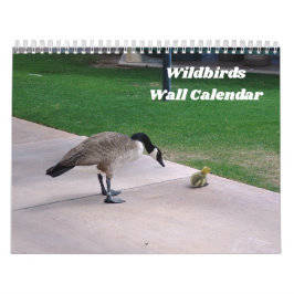 Wildbirds wandkalender kalender